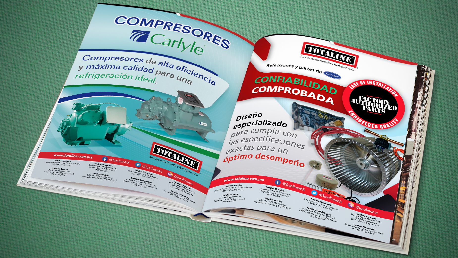 Story de instagram de Totaline