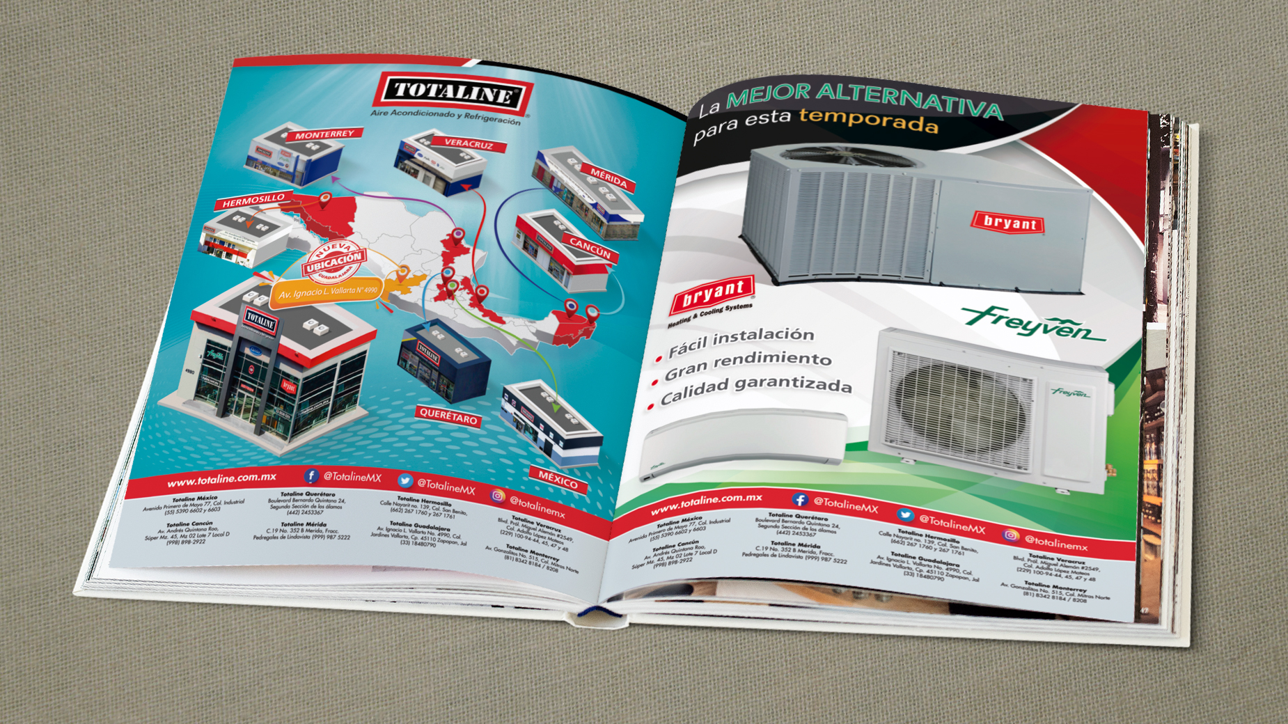 Story de instagram de Totaline